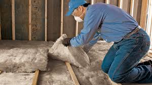 Best Commercial Insulation Services in Lady Lake, FL