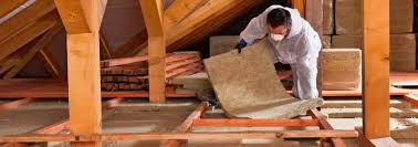 Lady Lake, FL Insulation Removal & Installation Company